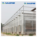 Hydroponic Systems Greenhouse de policarbonato para tomate
